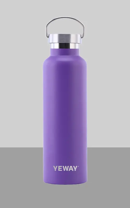 stainless steel water bottle with carry loop